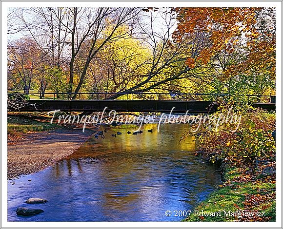 450487---Paint Creek, Rochester Municipal Park, Michigan 